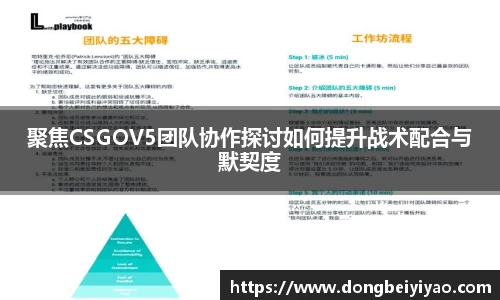 聚焦CSGOV5团队协作探讨如何提升战术配合与默契度